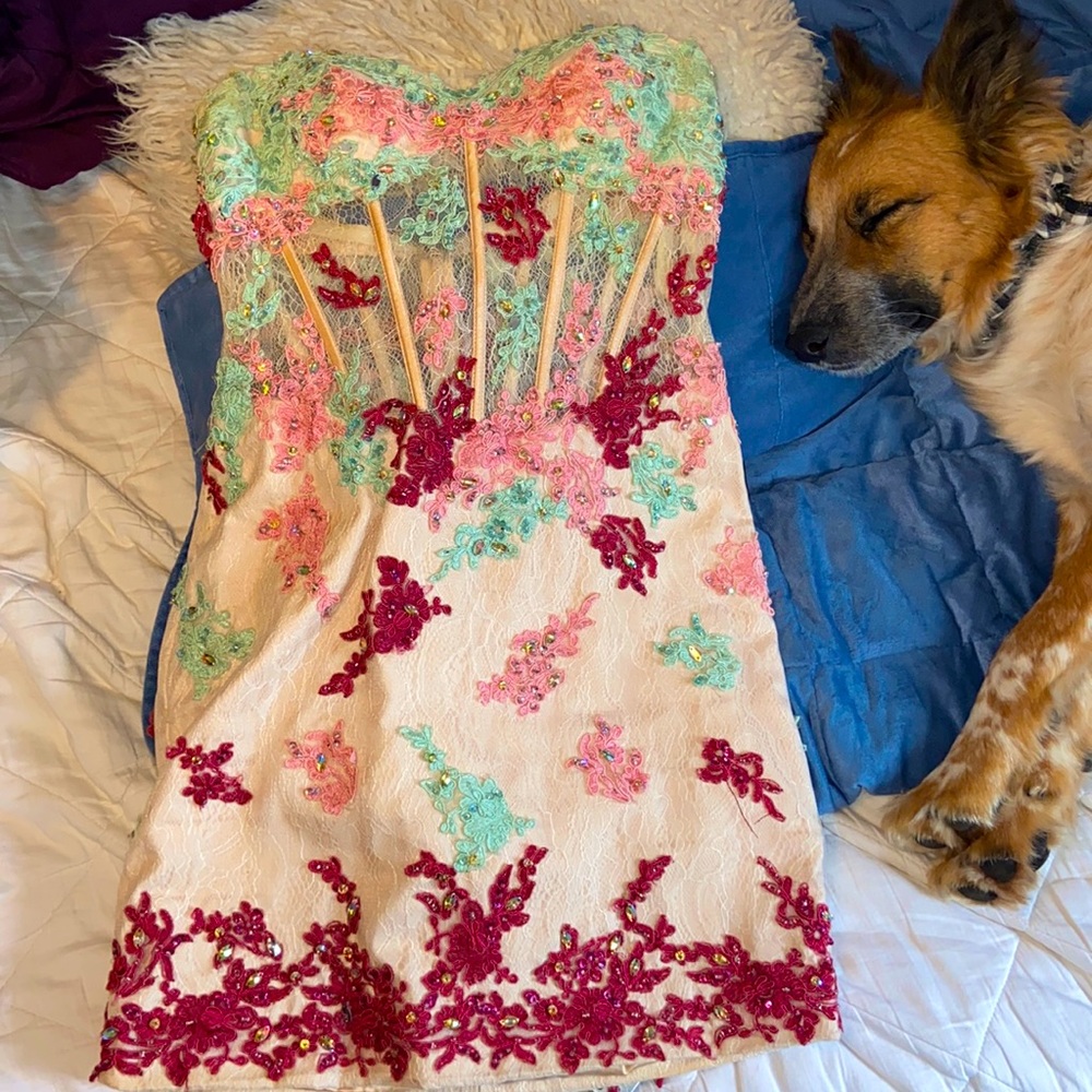 Rachel Allan Homecoming Dress (Puppy not included 😉)